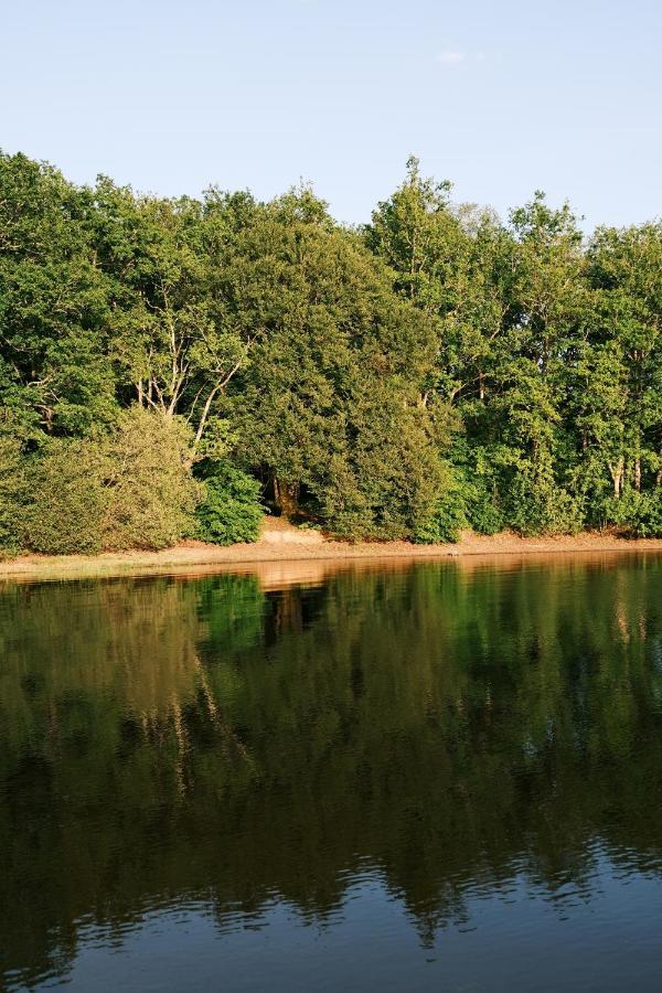 Lodge Avec Spa Privatif - Foret Et Lac Liginiac Exterior foto
