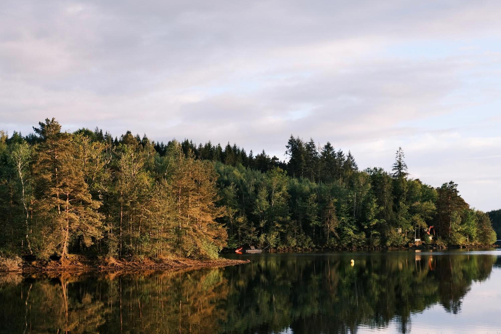 Lodge Avec Spa Privatif - Foret Et Lac Liginiac Exterior foto